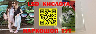 дмт Будённовск